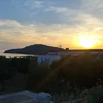 Tramonto Nel Delfini