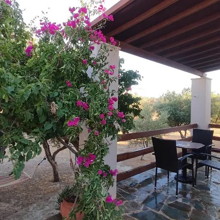 Tramonto Nel Delfini Apartamento *