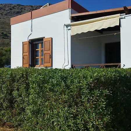 Tramonto Nel Delfini