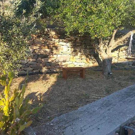 Tramonto Nel Delfini Kini