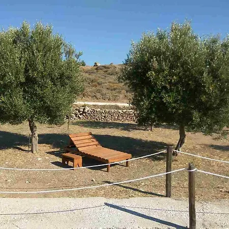 Tramonto Nel Delfini