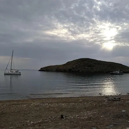 Tramonto Nel Delfini Kini