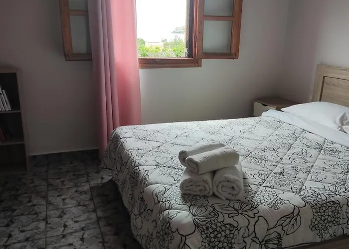 Tramonto Nel Delfini *