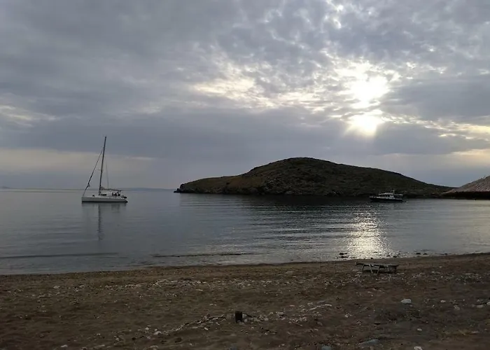 Tramonto Nel Delfini 키니언