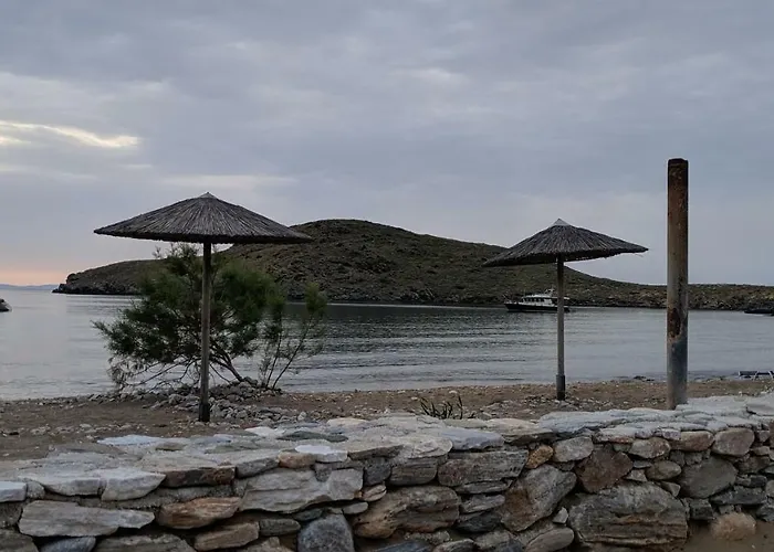 Tramonto Nel Delfini *