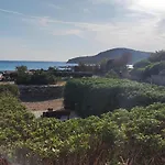 Tramonto Nel Delfini Kini