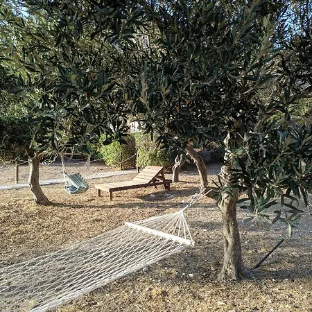 Tramonto Nel Delfini