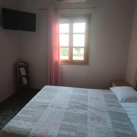 Tramonto Nel Delfini Kini