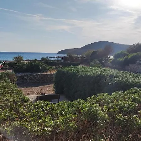 Tramonto Nel Delfini Kini