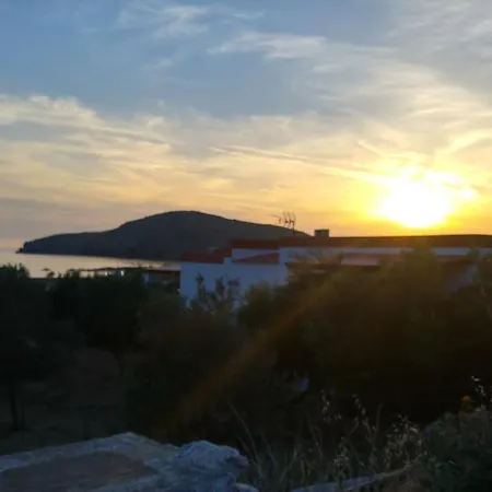 Tramonto Nel Delfini