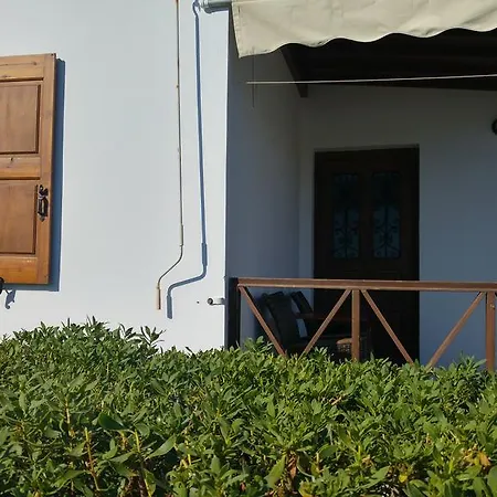 Tramonto Nel Delfini * Kini