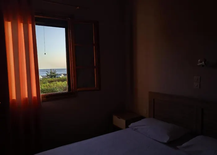 Tramonto Nel Delfini