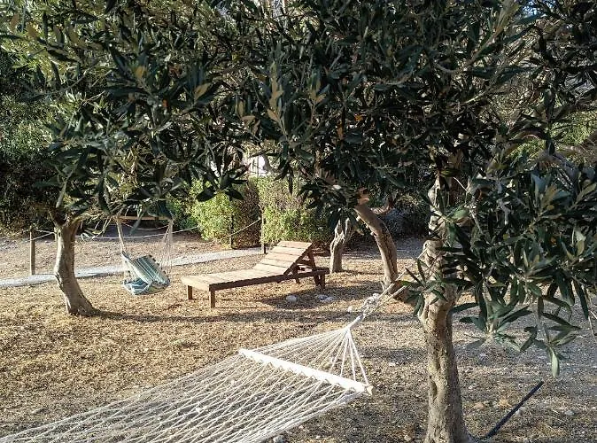 Tramonto Nel Delfini