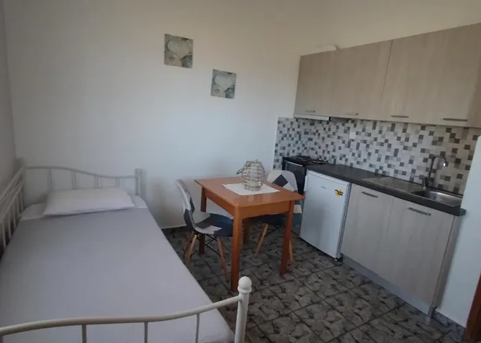 Tramonto Nel Delfini