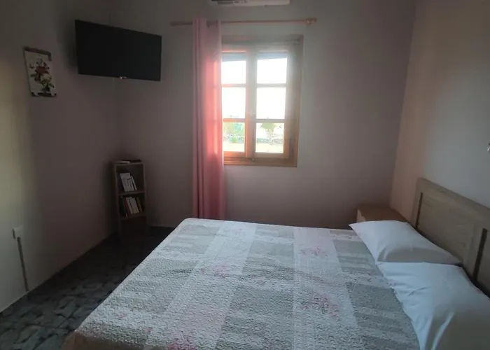 Tramonto Nel Delfini Kini