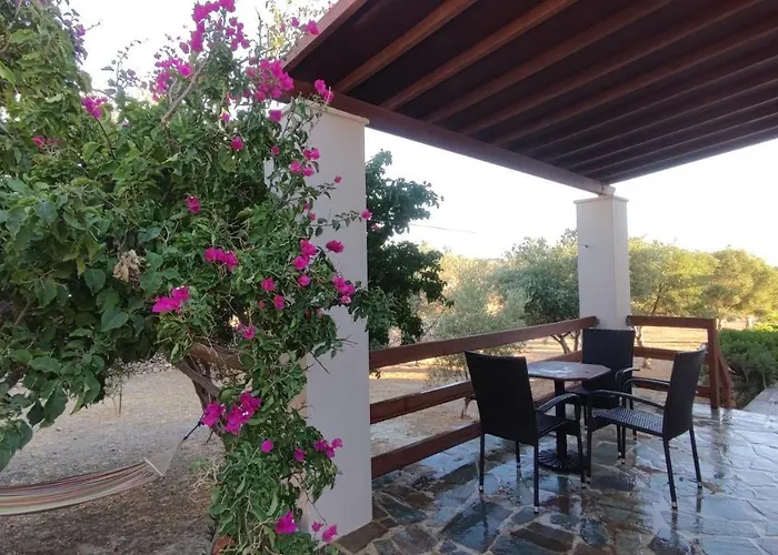 Tramonto Nel Delfini *