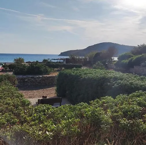 Tramonto Nel Delfini Kini