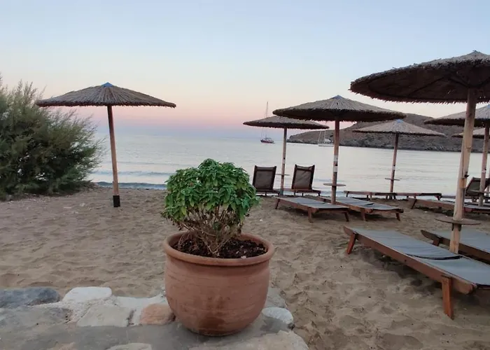 Tramonto Nel Delfini *