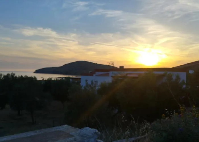 Tramonto Nel Delfini