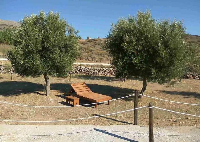 Tramonto Nel Delfini